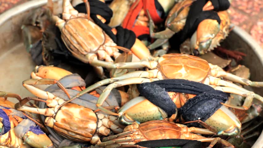 Alive crabs for sale at fish market, Vietnam, Hochiminh city.
