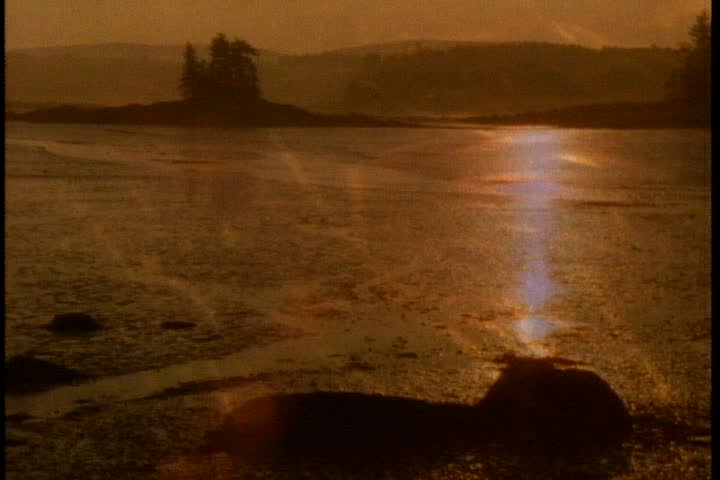 WS orange sunset bathes mudflat in orange light. Camera pushes in to mud.