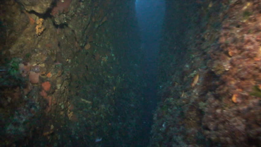 scuba diving between rocky cliffs under water, pov