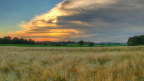 Sunset over cereal fields, HD time lapse clip, high dynamic range imaging