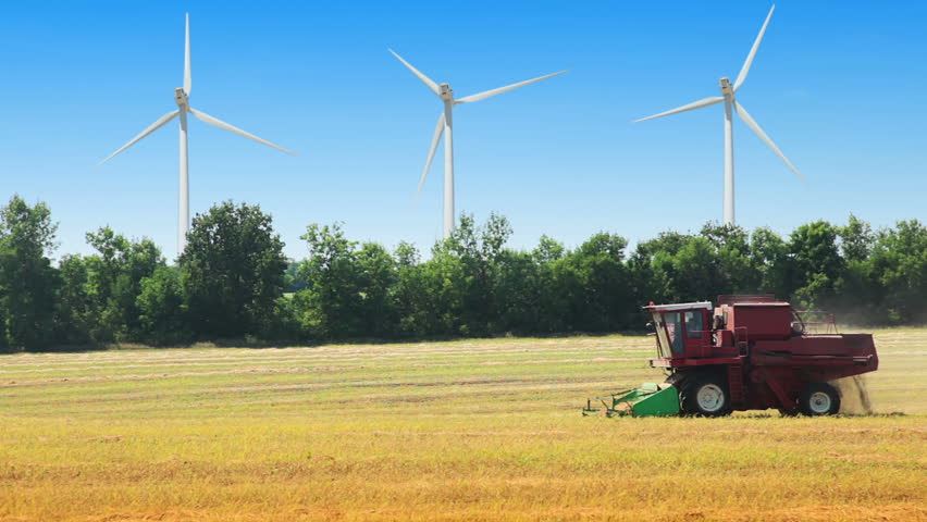 Summer. Sunny day. Harvester worked in the field. In the background - wind power
