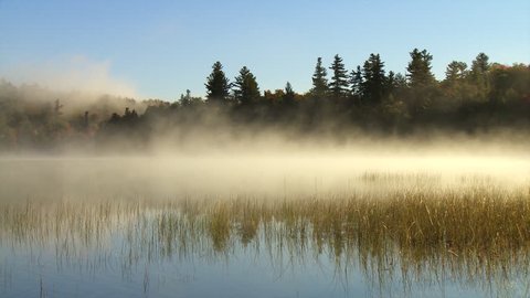 Morning mist flows over marsh grasses on Connery Pond