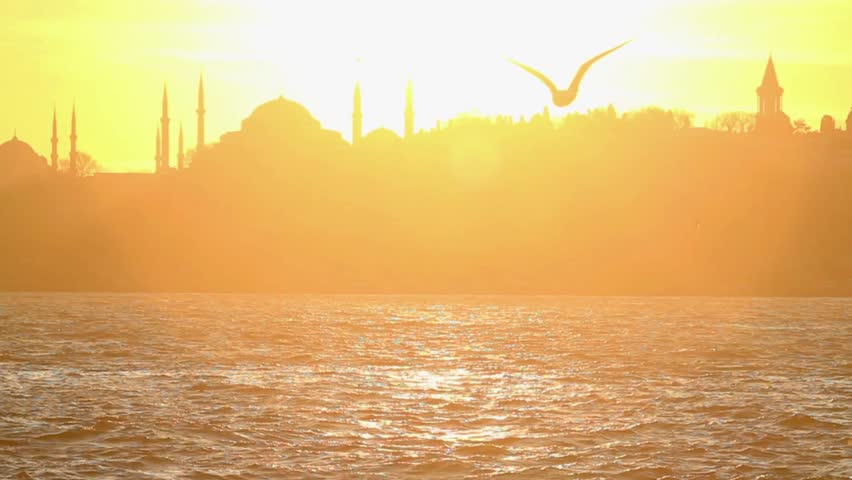 Seagull flying slow motion. Istanbul, Sarayburnu. In the distance are such