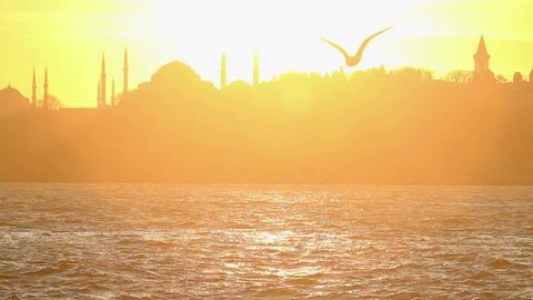 Seagull flying slow motion. Istanbul, Sarayburnu. In the distance are such landmarks as Blue Mosque, Hagia Sophia and Topkapi Palace. 
