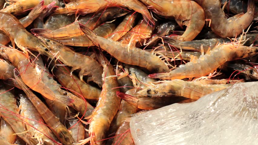 Alive shrimps at fish market, Vietnam, Hochiminh city.