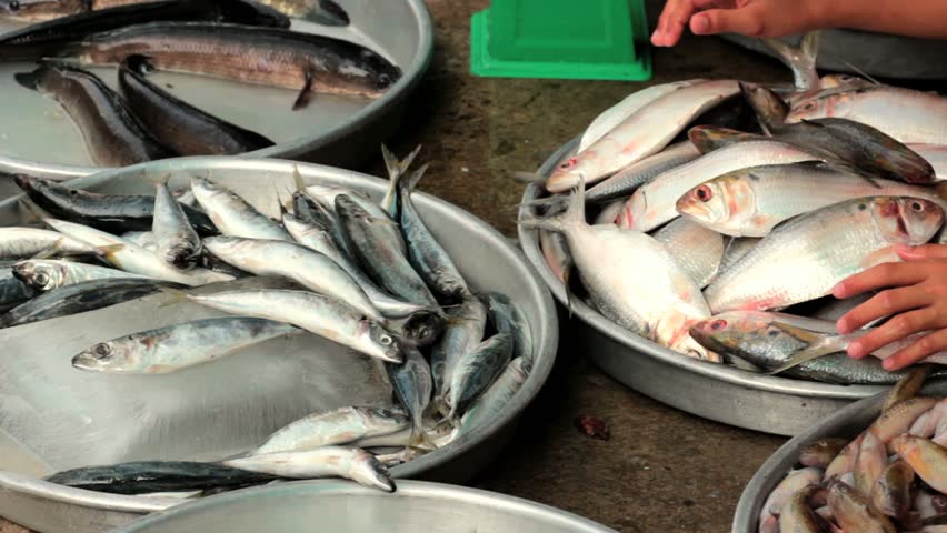 fresh fish for sale at market, Vietnam, Hochiminh city.