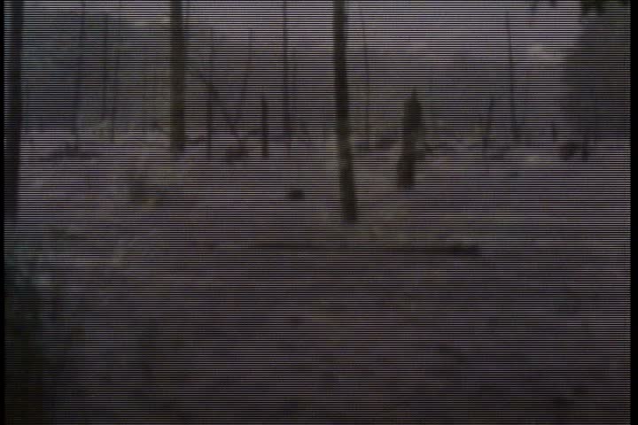 CU water flowing over rocks in stream, camera pulls back to WS stream flowing through green forested area.