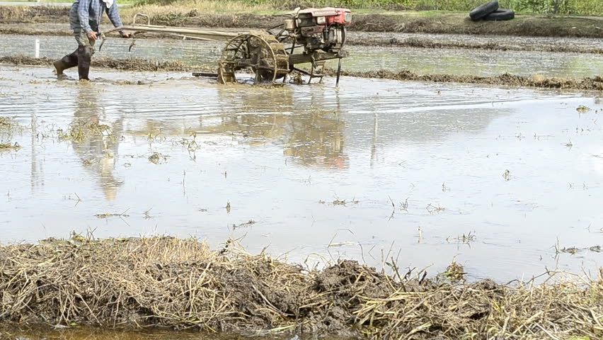 farmer use tractor working in farm for plant rice of thailand