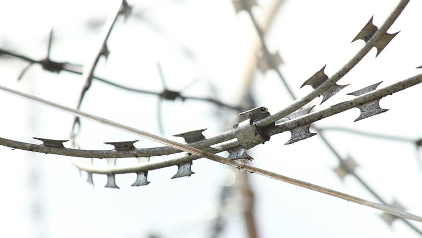 Barbed wires with spikes rack focus