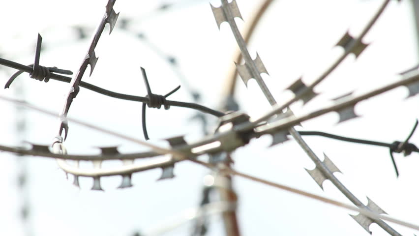 Rack focus of barbed wire at daytime, spikes and wires