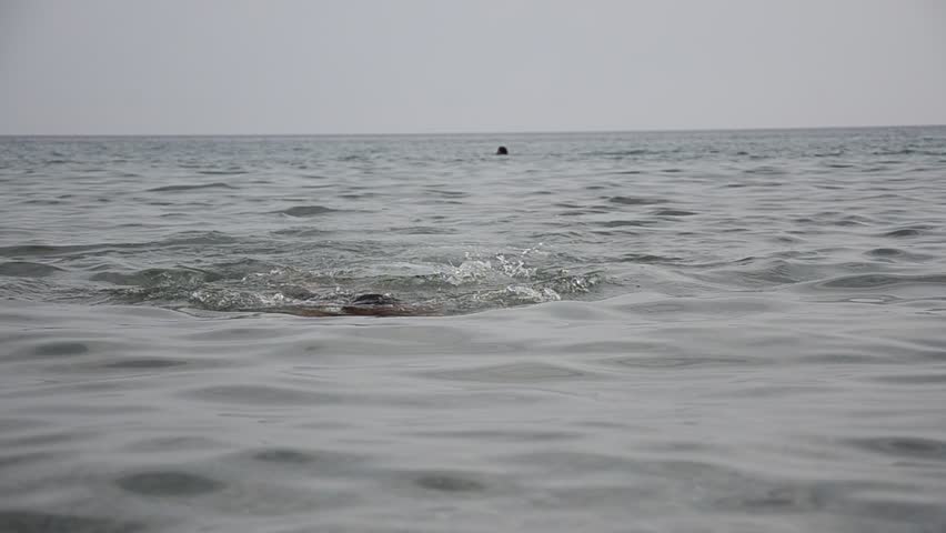 Wide shoot of a swimmer at the ocean horizon calm water