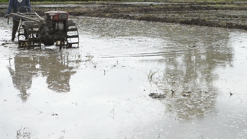 farmer use tractor working in farm for plant rice of thailand