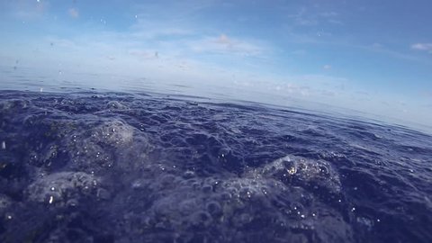 Fishing for Dolphin Fish in Florida Keys