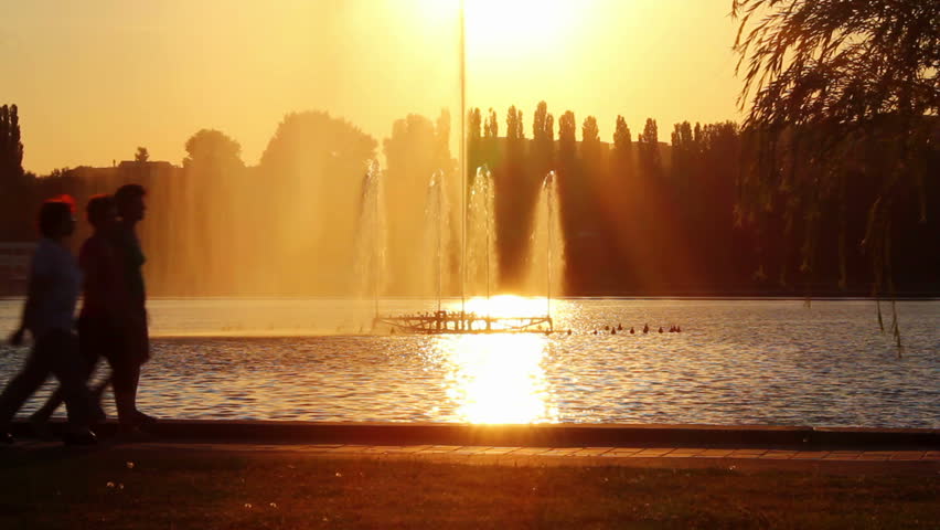 Silhouettes of people during sunset in the park