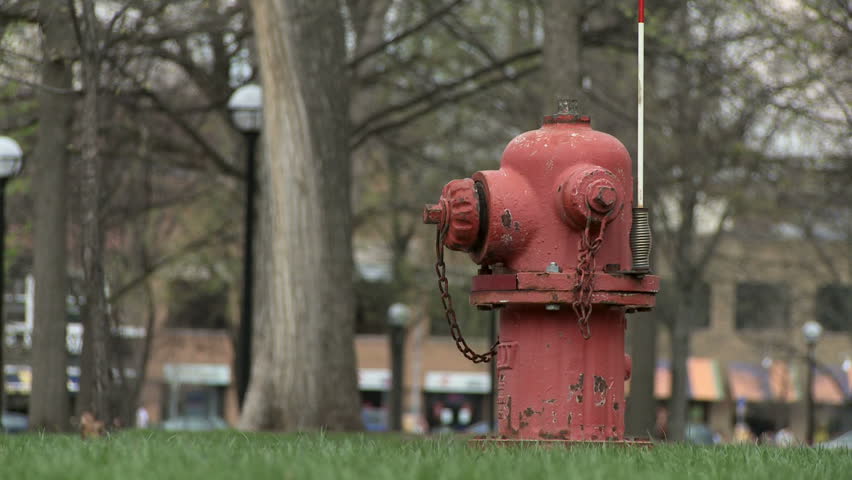 American fire hydrant on grass with people passing on the street in the distant
