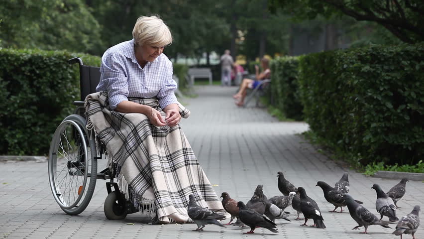 Elderly lady in a wheelchair throwing bread crumbs to pigeons