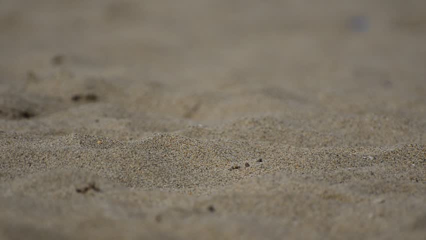 Walking On A Beach, Young men walking barefoot at a sandy beach desert. Close up