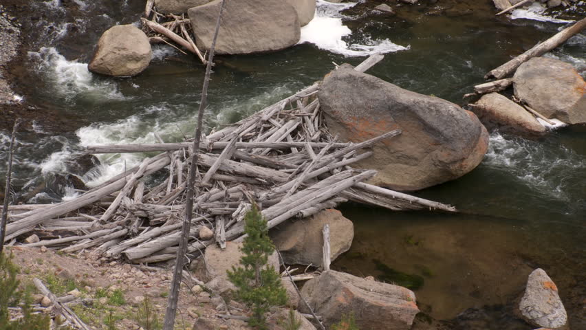 Yellowstone National Park Gibbon Falls