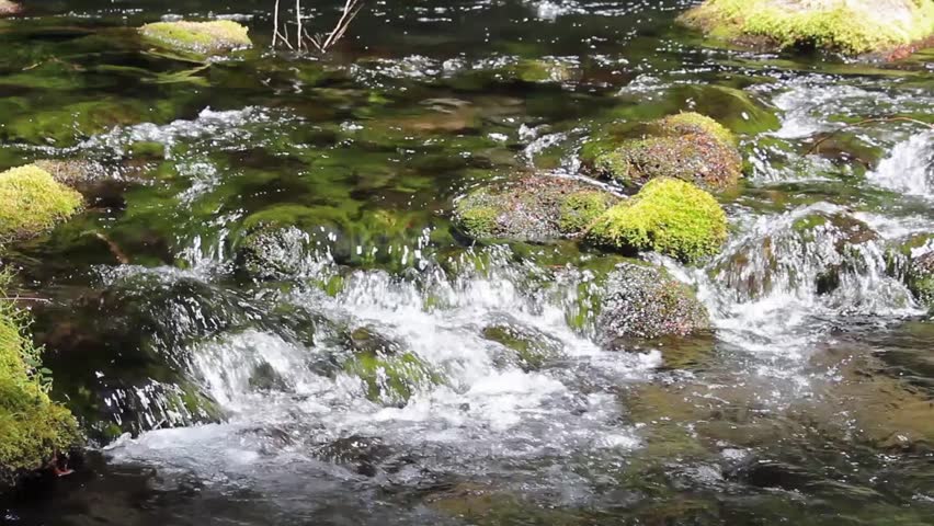 River Water Running Over Mossy Stock Footage Video (100% Royalty-free ...