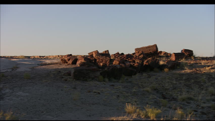 Remains of petrified tree trunks dot a desert landscape in a remote part of