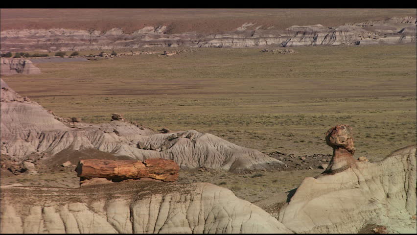 Scenic view of a desert landscape with remains of a petrified forest in Arizona