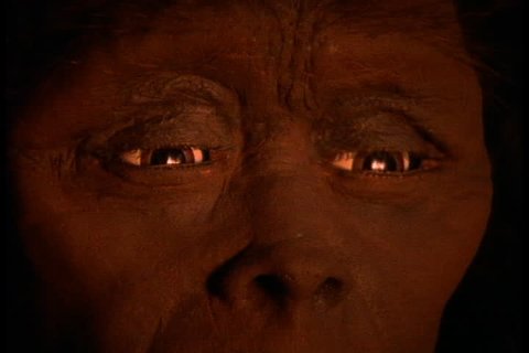 Historical reenactment in East Africa. Close up of early human, or Homo erectus, with fire light flickering across her face and flames reflected in her eyes.