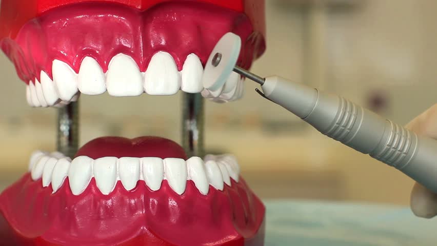 dental treatment on the example of the toy jaw