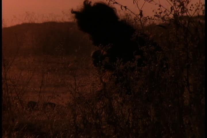 Historical reenactment in East Africa. Silhouette of early human, or Homo habilus, banging an animal bone on a rock in attempt to break it open.
