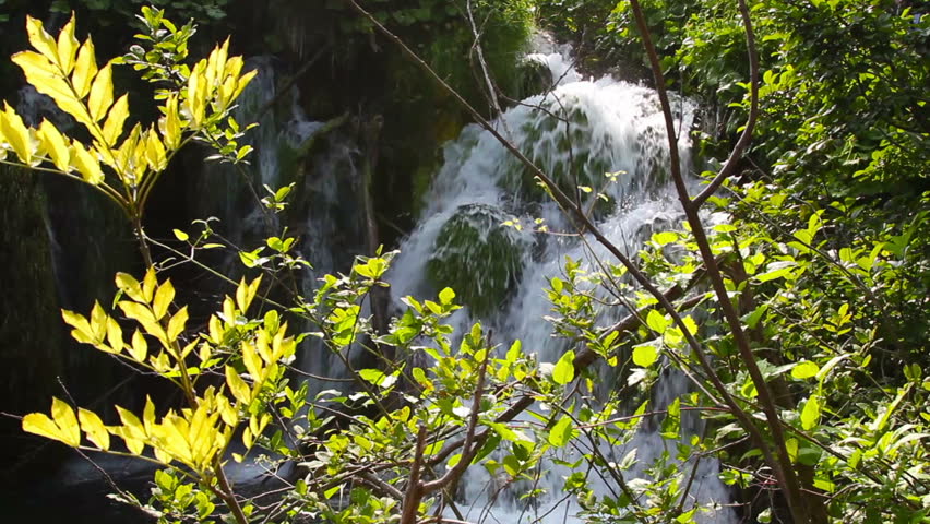 waterfall in the forest, 