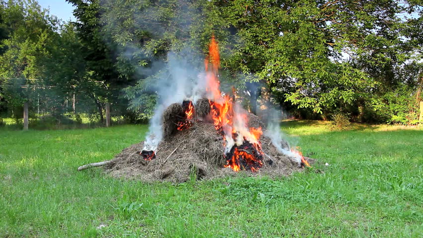 BonFire from grass and woods in the green garden