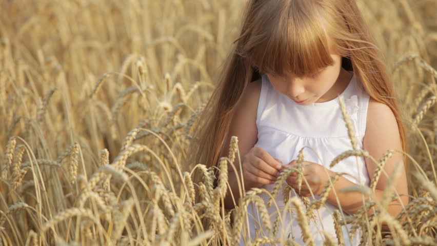 Lovely little girl standing in wheat laughing and smiling happily at camera
