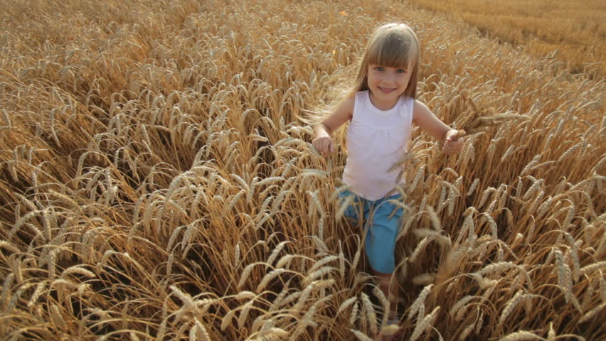 Beautiful little girl walking through golden wheat field and smiling