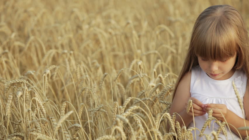 Funny little girl standing in wheat eating grain moving her hands and laughing
