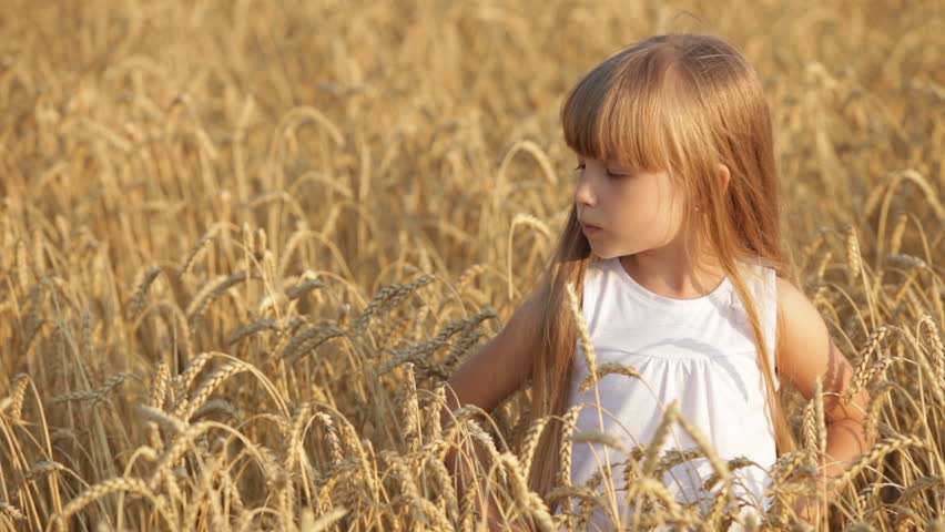 Cheerful little girl standing in golden wheat waving her hand and smiling at