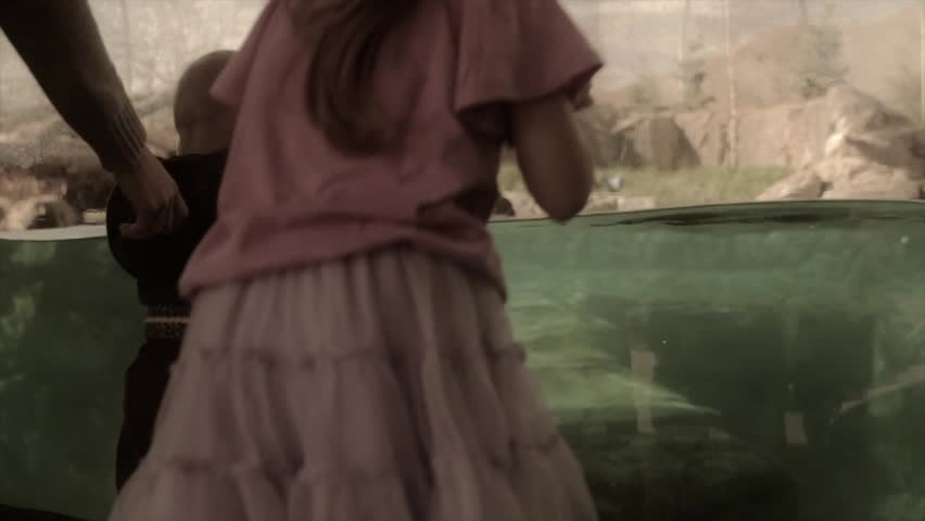 Kids watching the polar bear at the zoo in slow motion