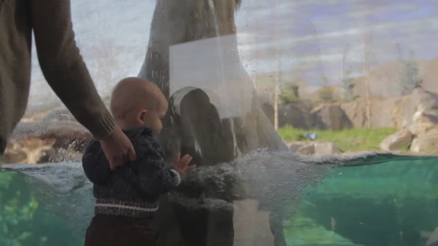 Kids watching the polar bear at the zoo in slow motion