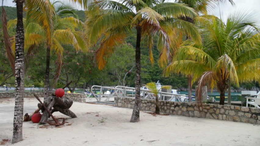 Palm trees and relaxation in Labadee, Haiti.