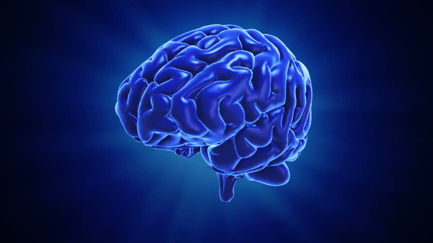 A stylized human brain. Seamless loop 