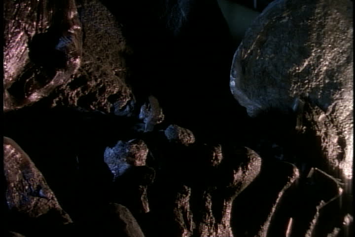 Slow tracking shot from tail, down spine with armored plates to head of dinosaur. Another dino skeleton seen in background in Pittsburg, Pennsylvania