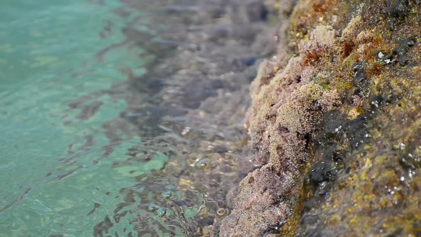 Paradise ocean clean sea water splash on coast rocks  corals LOOP. The water