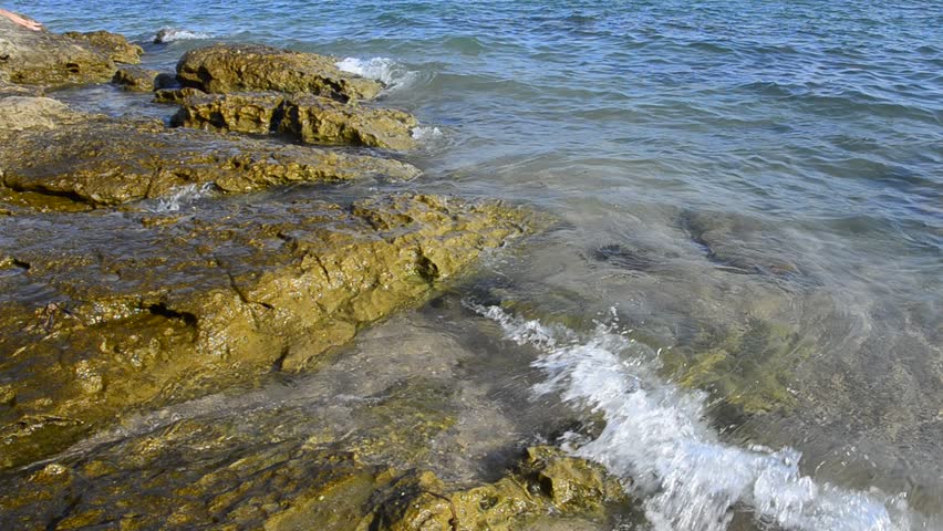 The sea shore. Rocky ocean coast is splashed by water waves. Summer background,