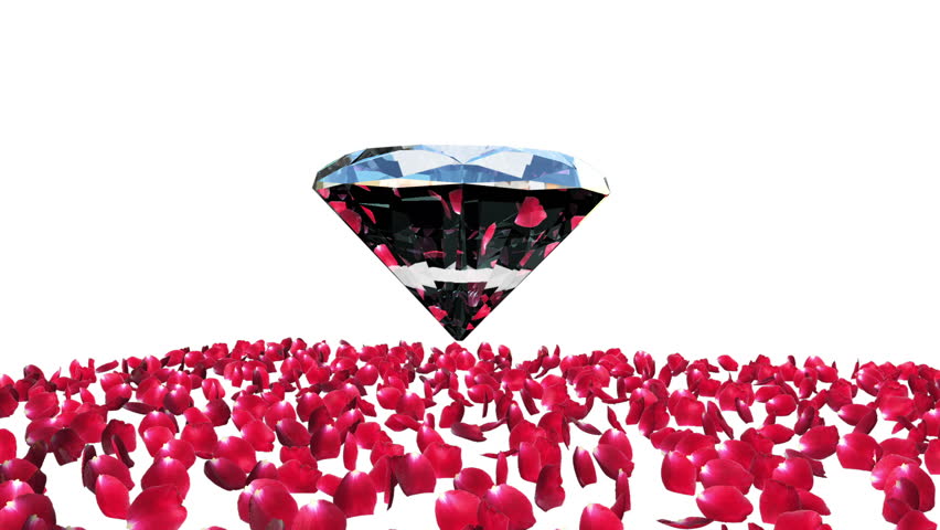 Diamond attracting rose petals, camera rotating, against white