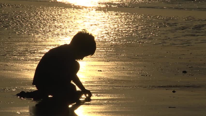 Silhouetted boy searching seashells at the beach 