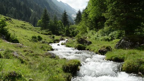 Zillertal Alps stream water zoom though forest and mountains