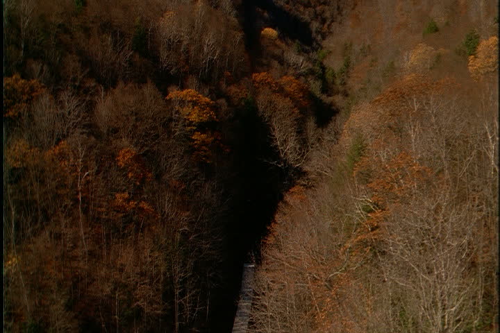 Aerial follows clearing cut in tree-covered Hoosac Range in North Adams, Massachusetts.