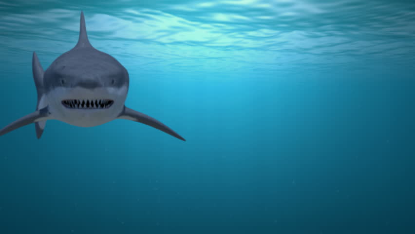 A Great white shark attacks the camera. High quality animation created in Maya.