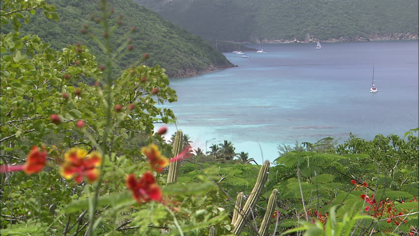 Scenic overlook of tropical bay with beautiful red flowers
