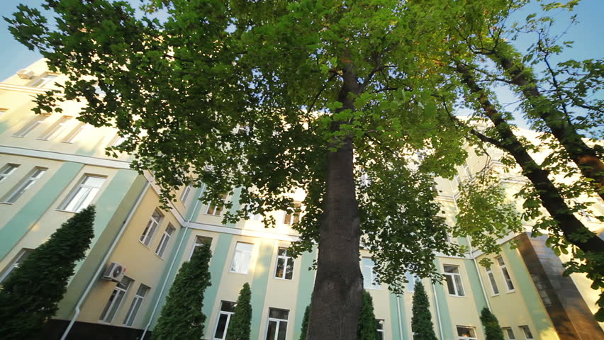 young, beautiful, nice girl sitting on a bench near the university, in the hands of her tablet. She is dressed for business and looks happy. She sees something on the internet and very natural laugh