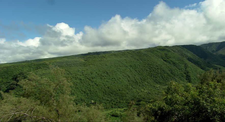 Scenic vista of forest-covered hills and fluffy white clouds in Hawaii