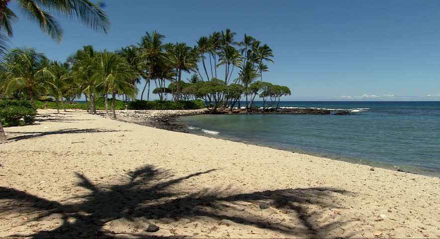 Palm tree shadows wave over the sand on an uninhabited beach in Hawaii